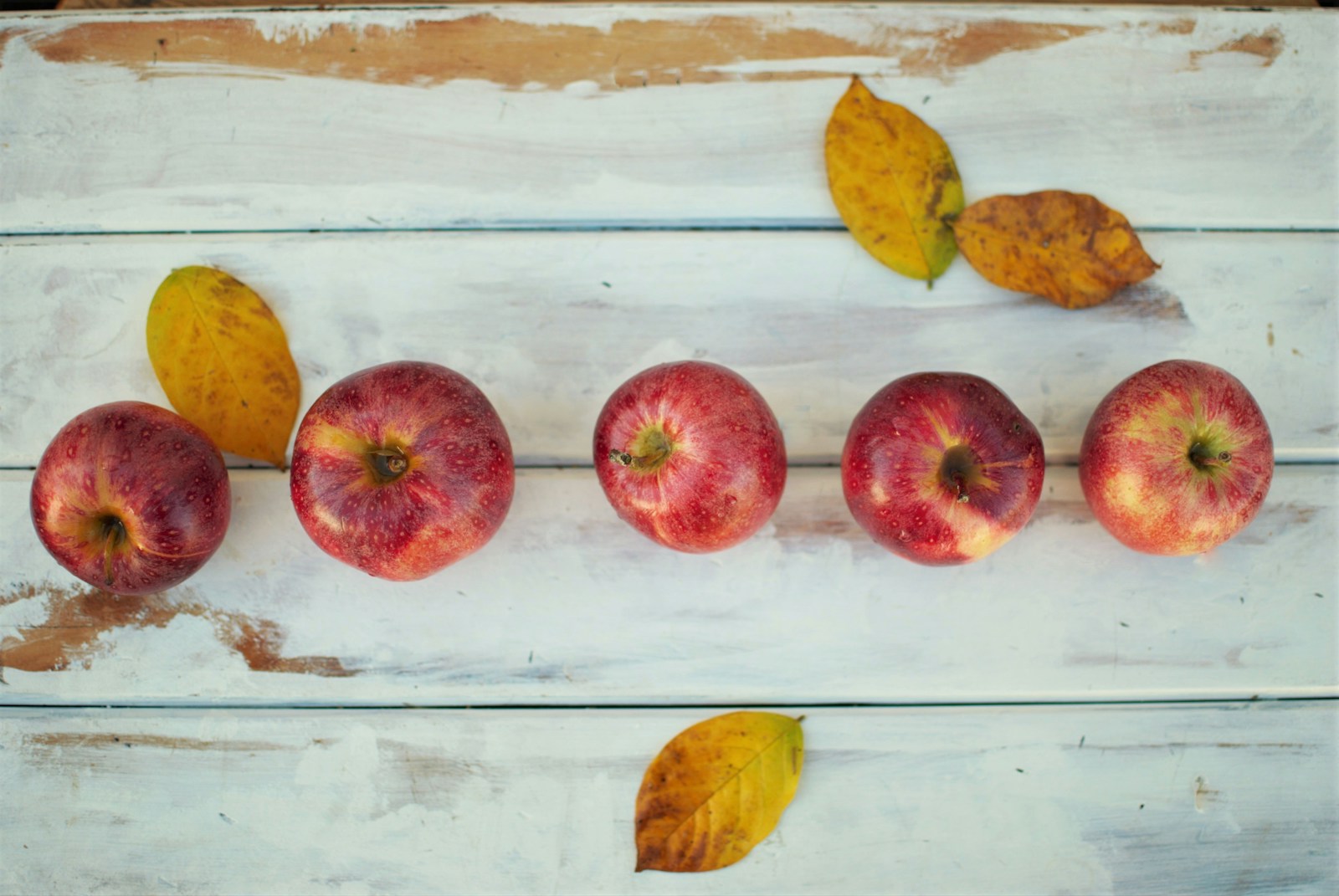 Apple Butter Bars